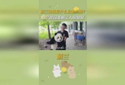 吃瓜小熊萌兰,揭秘娱乐圈那些事儿