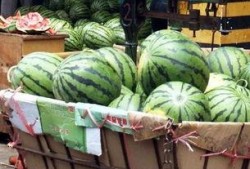 吃母瓜的视频,视频带你领略独特风味