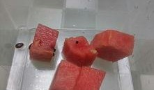 吃瓜升糖测试,揭秘瓜果对血糖影响之谜