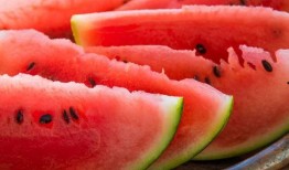 韩国看河南吃瓜,一场味蕾的“吃瓜”之旅