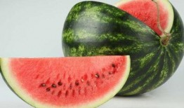 吃母瓜的视频,视频带你领略独特风味