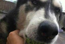 与我无瓜吃瓜是什么意思,“与我无瓜”吃瓜文化探析