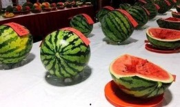 文安西桥吃瓜,一场热闹非凡的吃瓜盛宴