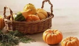 彩色吃瓜,彩色吃瓜的奇幻之旅