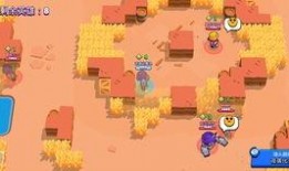 海盗船长吃瓜,瓜田里的传奇冒险