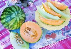 梦见瓜地吃瓜,瓜果飘香中的味蕾之旅