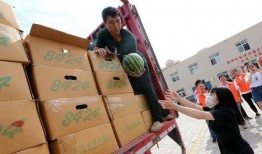 梦见司机给吃瓜,司机赠瓜背后的神秘寓意