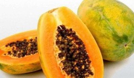 梦见带着孩子去瓜地吃瓜,带着孩子瓜地寻味之旅