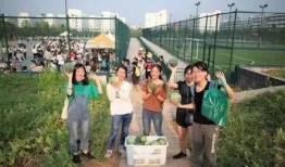 吃瓜网红学校,校园风云录